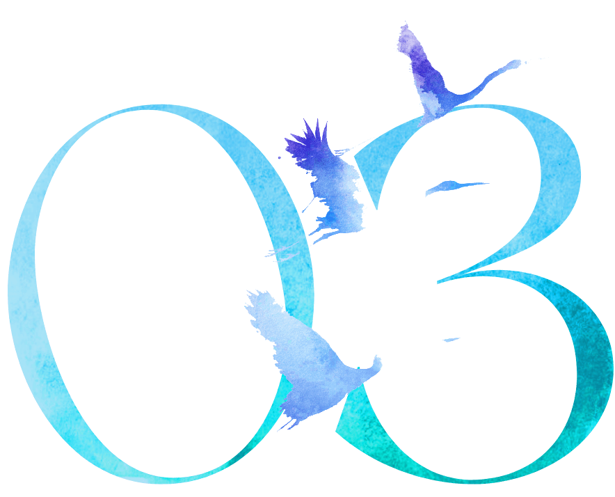 03